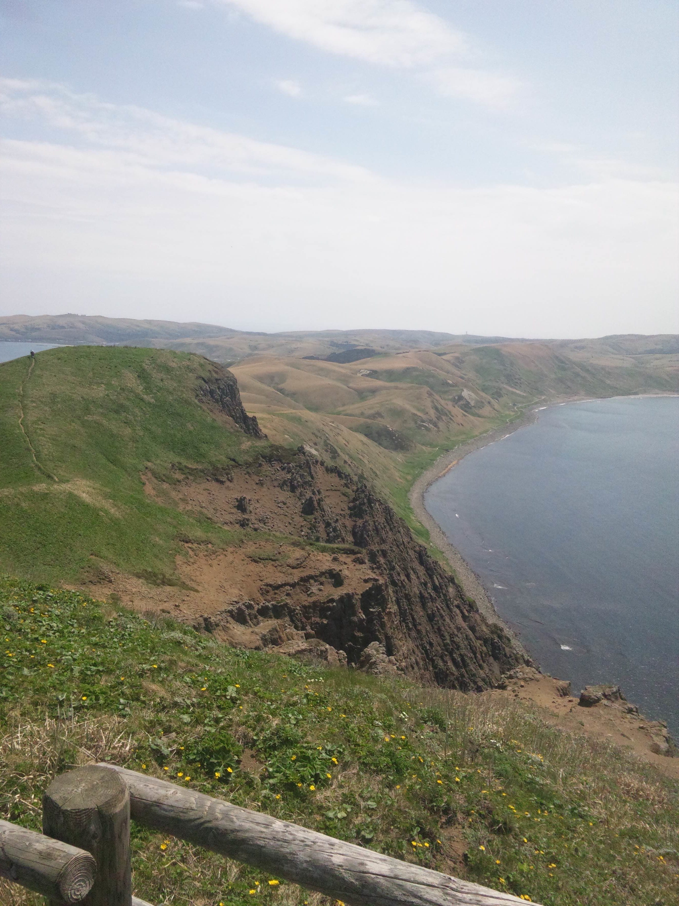 離島一人旅 礼文島 高山植物咲く 花の浮島 をトレッキング 凡人フリーランスことりの巣